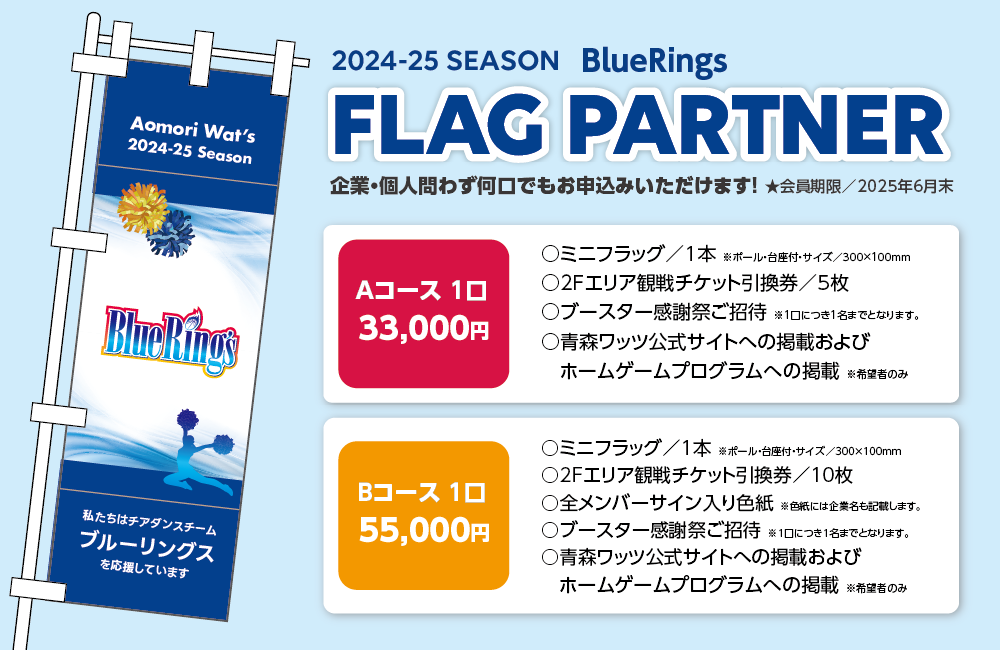 bluerings_flagpartner