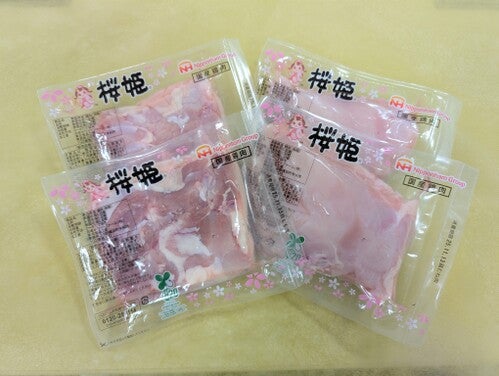 ハーフタイム 日本ホワイトファーム株式会社 presents モップリレー対決 supported by 青森クリーン